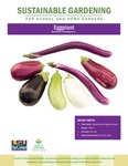 Sustainable Gardening for School and Home Gardens: Eggplant by Johannah Frelier, Denyse Cummins, and Carl Motsenbocker