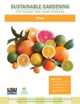 Sustainable Gardening for School and Home Gardens: Citrus by Johannah Frelier, Denyse Cummins, and Carl Motsenbocker
