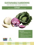 Sustainable Gardening for School and Home Gardens: Cabbage by Johannah Frelier, Denyse Cummins, and Carl Motsenbocker
