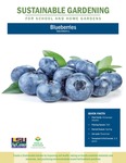 Sustainable Gardening for School and Home Gardens: Blueberries by Johannah Frelier, Denyse Cummins, and Carl Motsenbocker