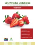 Sustainable Gardening for School and Home Gardens: Strawberries by Johannah Frelier, Denyse Cummins, and Carl Motsenbocker